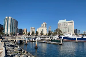 seawall construction company